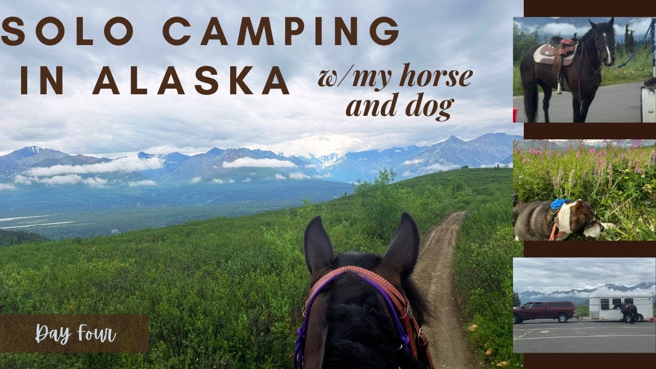 Day 4 - Solo Camping in Alaska w/my horse & dog! Driving Glenn Hwy, Gunsight Mt, Squaw Creek, Eureka