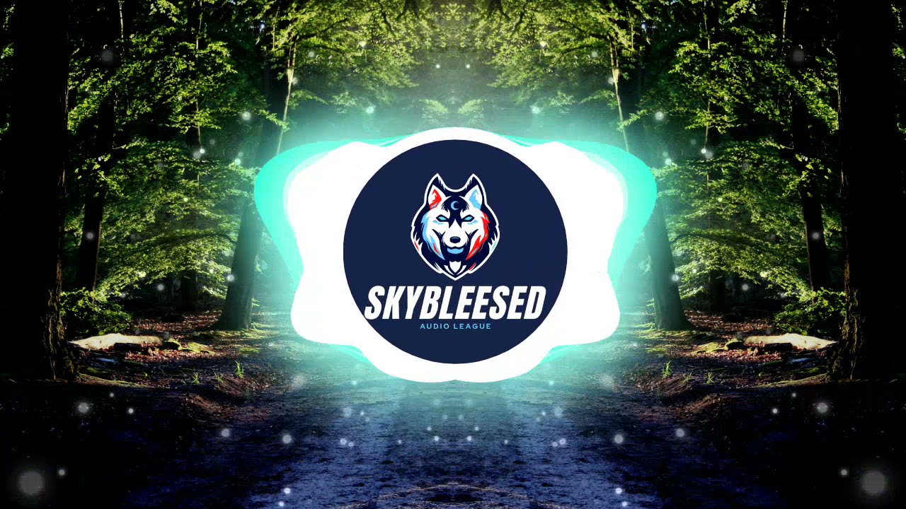 camoufly - possibilities[SBA Release]