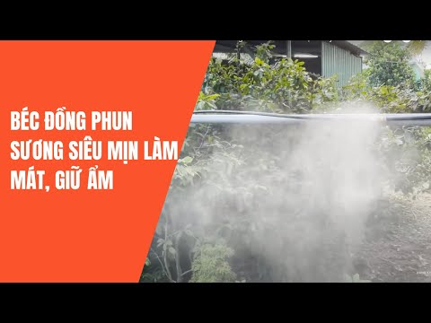 Video Béc đồng phun sương siêu mịn, làm mát ,tưới cây, giữ... - youtube
