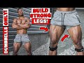 DUMBBELL ONLY LEG WORKOUT AT HOME!
