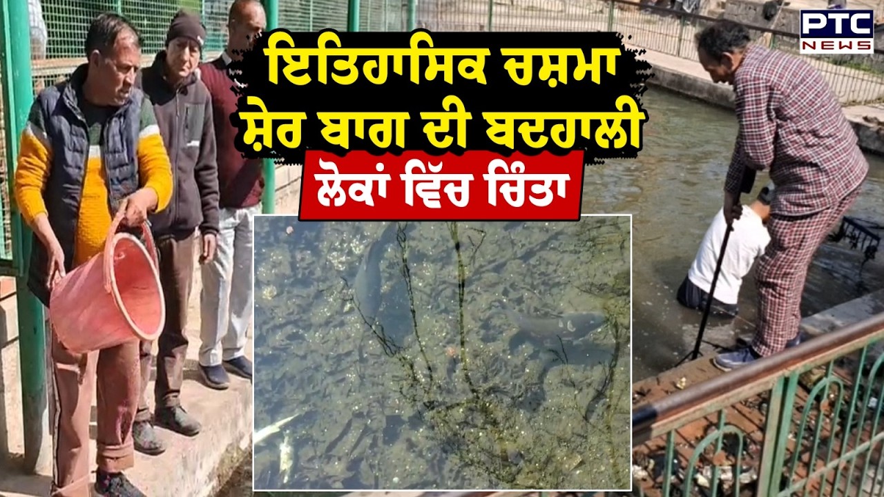 Anantnag ਦੇ ਇਤਿਹਾਸਕ ਚਸ਼ਮਾ ਸ਼ੇਰ ਬਾਗ ਦੀ ਬਦਹਾਲੀ | Jammu Kashmir | Punjabi News