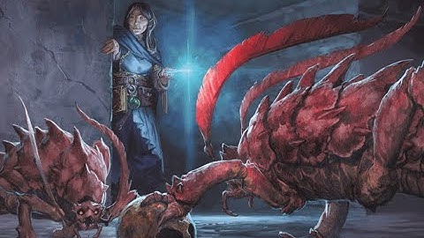 Dungeon of the Mad Mage - Episode 05 - Level 2: Arcane Chambers