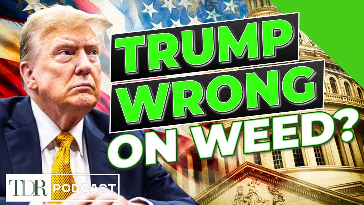 Уильям Беннетт критикует решение Трампа о пересмотре классификации каннабиса | TDR Cannabis in 5