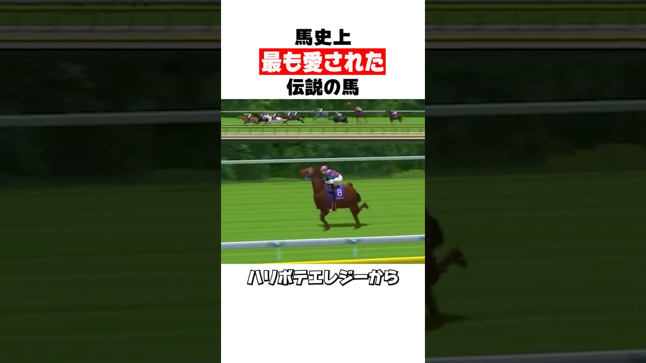 馬史上最も愛された伝説の馬