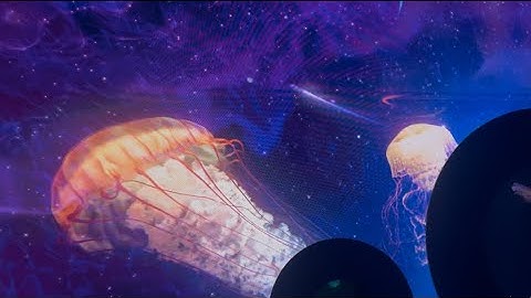 The Jellyfish Exhibit with the coolest graphics for the Jellyfish in this area. October 15,2025