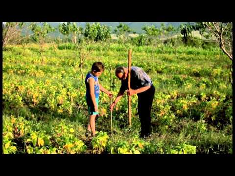 სასოფლო - სამეურნეო კოოპერატივები საქართველოში