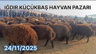 Iğdır küçükbaş hayvan pazarı ~ herkes isyanda~hayvan pazarı son durum