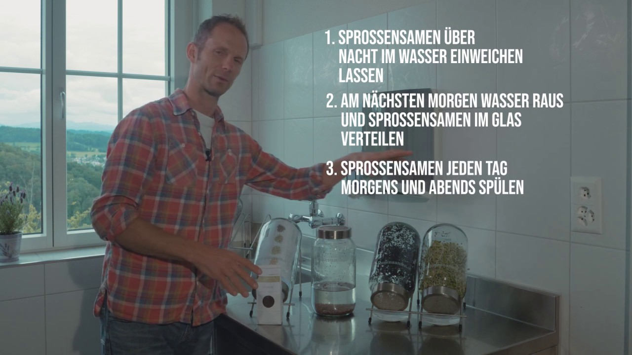 Sprossen selber ziehen! Super einfach - YouTube