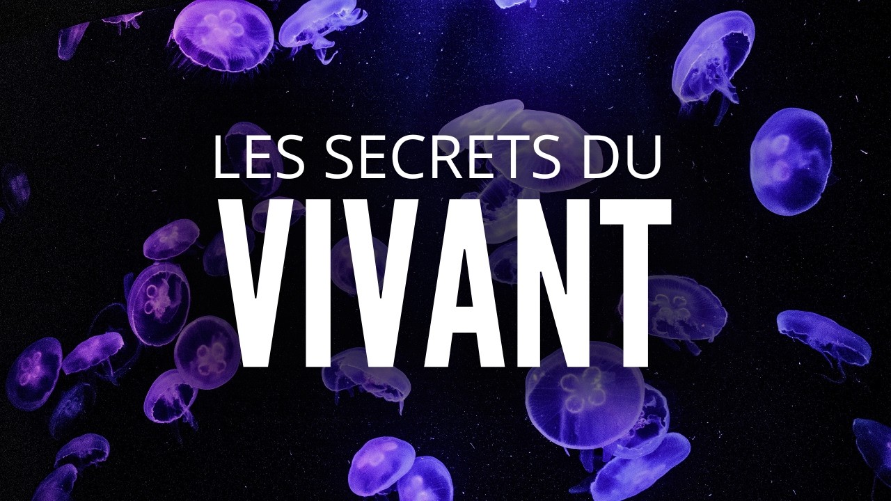 EFFONDREMENT de la Biodiversité: Ce que nous Risquons de PERDRE - Documentaire