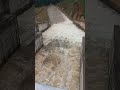 Basnagoda Dam Sri Lanka | බස්නාගොඩ ජලාශය | 바스나고다 저수지 스리랑카 