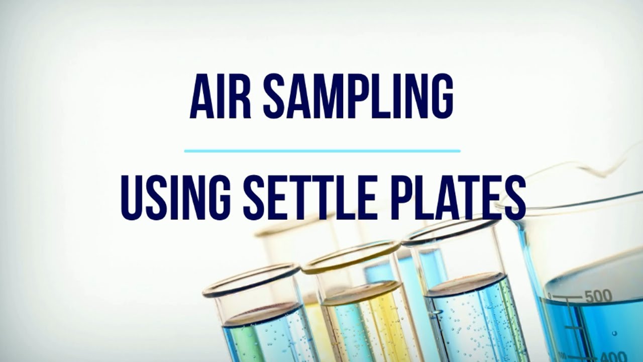 Air Sampling Using Settle Plates YouTube