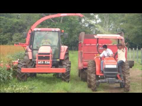 Vídeo: Tractors Casolans (30 Fotos): Com Fer Amb Les Seves Pròpies Mans Un Tractor Amb Una Caixa De 