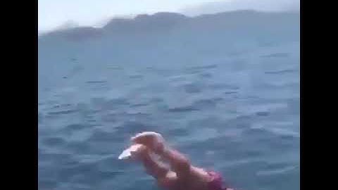 Tiny guy jumps in water making a funny sound