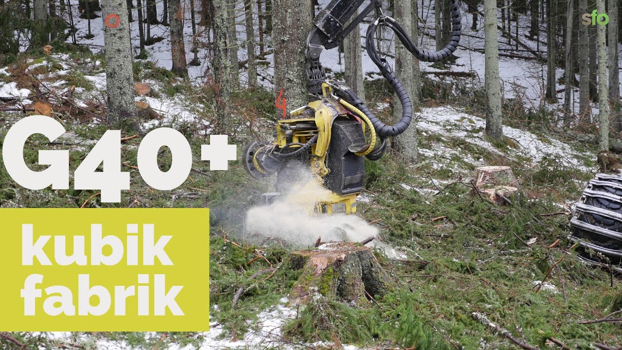 Grov slutavverkning gran i Värmland, G40 plus!