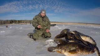 Первый Лёд! Время Ротана.  Зимняя Рыбалка