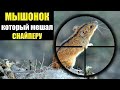 Как Мышонок Покусал Советского Снайпера? Воспоминания о войне Евгений Николаев