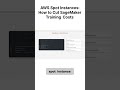 Saving Up to 90% AWS SageMaker Training Costs with Spot Instances #aws #ml #tutorial