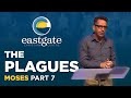 The Plagues | Andy Shudall | 18 June