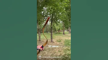Стрельба из лука 50 метров