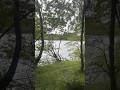 A walk in nature #scotland #nature #relaxing #classical #geese