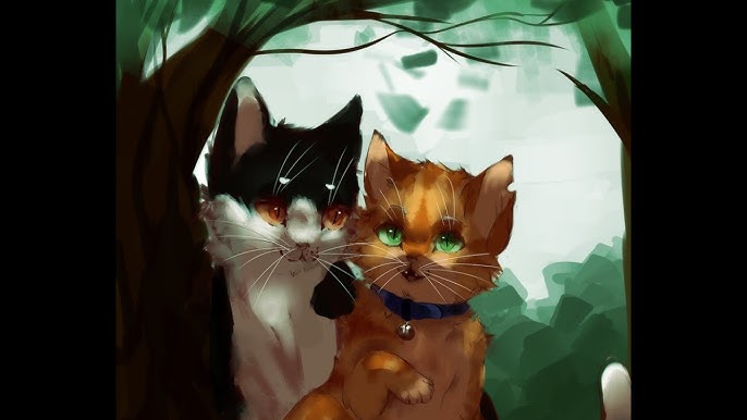 Warriors Designs 2 by Tusofsky  Warrior cat memes, Warrior cats art, Warrior  cats series