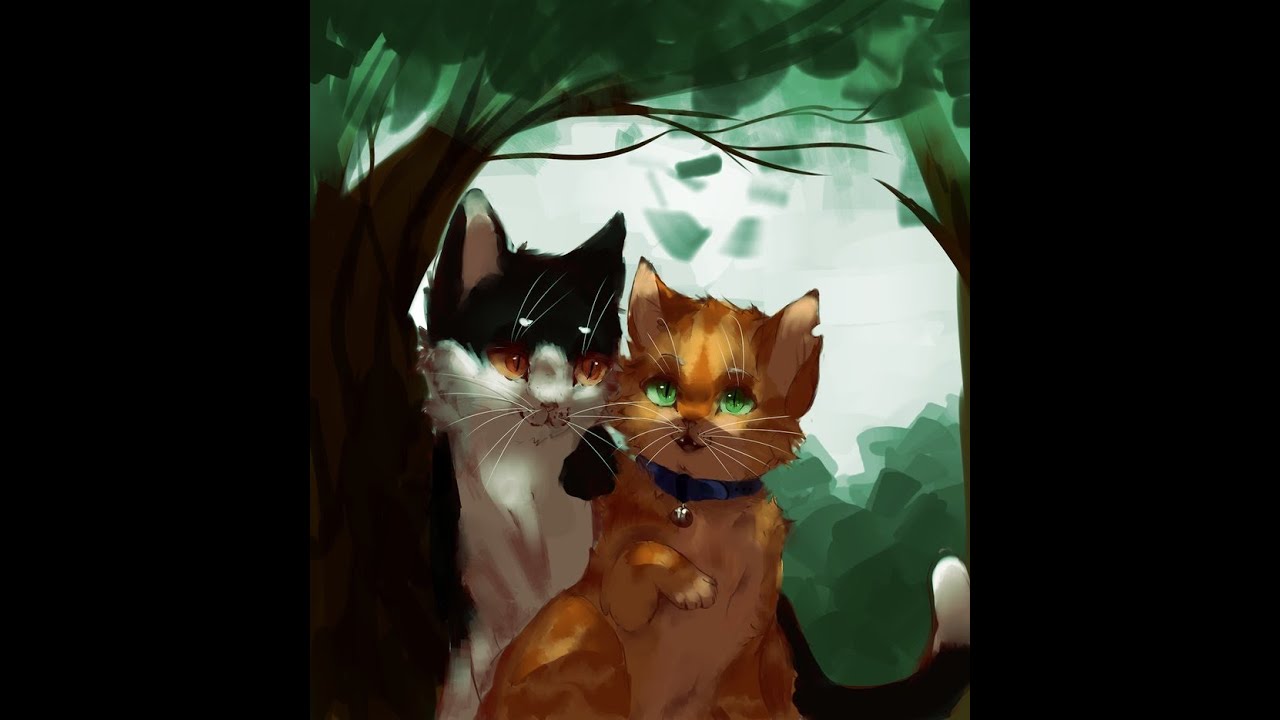 My Top 10 Best Warrior Cat Siblings And/or Best Friends - YouTube