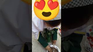plantation activity
