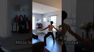 The Most Dramatic Love Ritual In The Animal Kingdom