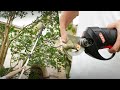 14 Must-Have Gardening Tools That Will Transform Your Garden!