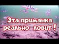 Лучшая Безмотылка !  У меня ловит лучше всех ! Рабочая проводка на Окуня! Ловля окуня Зимой !