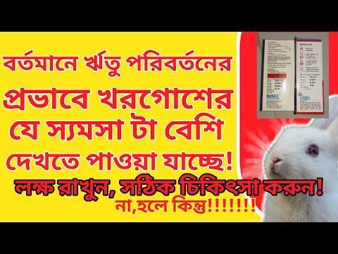 ভিডিও: শীতকালে হরিণকে কী খাওয়ানো যায়?