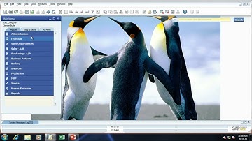 SAP Business One /  Sales Opportunities & Service Module