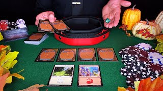 [ASMR] Magic the Gathering Casino Game with NICEST Dealer 🔮 | Gambling Roleplay, ASMR for Sleep