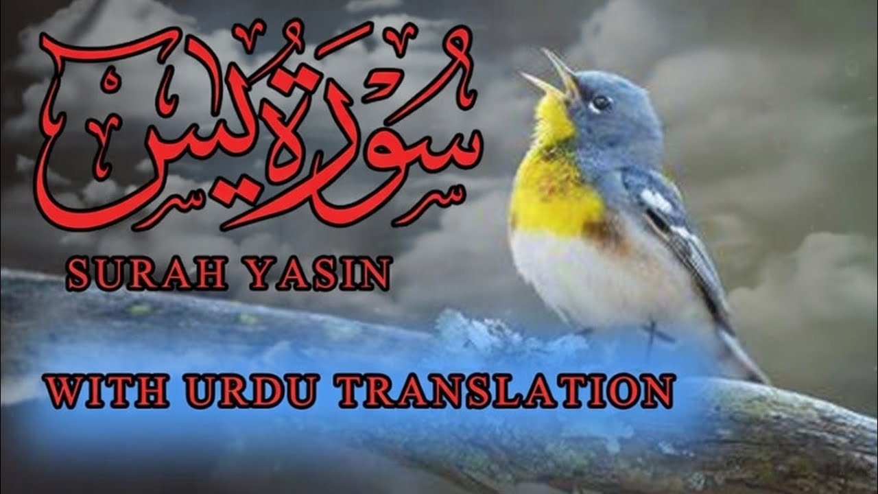 Surah Yaseen Tilawat with Urdu Translation | Heart Touching Recitation | Surah Yasin Full