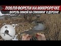 Ловля форели на микроречке в деревне. Ручьевая форель в небольшом ручье