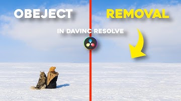 Davinci Resolve Tutorial - Object Removal In Under 2 Minutes!