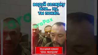 Солярка. #КрахМордора #НашиМальчики #война #солярка #коррупция
