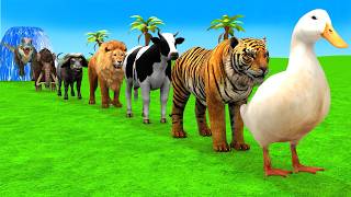 Long Slide Game With Cow Elephant Gorilla Hippopotamus Tiger 3d Animal Game Funny 3d Animals