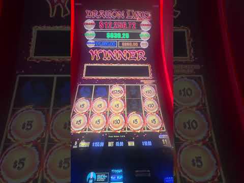 Maaamiespeli WildSino Casino: Suomalaisille nettikasino-ihminen