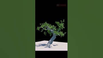 CG growing tree #tree #growth #cgi