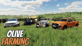 BIGGEST FIELD FOR GROWING OLIVES | FARMING SIMULATOR 22 #53 IN HINDI