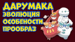 видео: ДАРУМАКА. ЭВОЛЮЦИЯ, ОСОБЕННОСТИ, ПРООБРАЗ картинка: ДАРУМАКА. ЭВОЛЮЦИЯ, ОСОБЕННОСТИ, ПРООБРАЗ