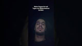 Was macht man gegen Wildschweine? #shorts #shortsfeed #shortsviral #shortvideo #short #funny #fyp