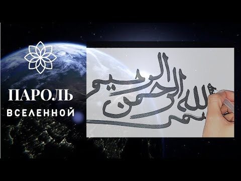 Video: Arabska Telapija V Pita Kruhu S Fižolom In Baziliko