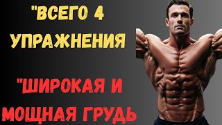 4 лучшие упражнения для широкой груди — результат за короткое время!