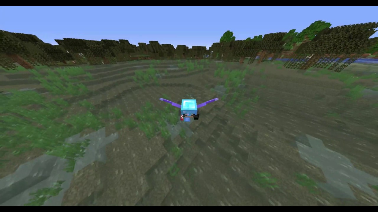 Minecraft 1.14.4 issue