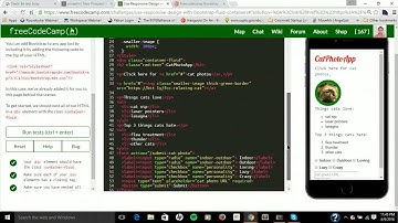 Freecodecamp Bootstrap Video #1
