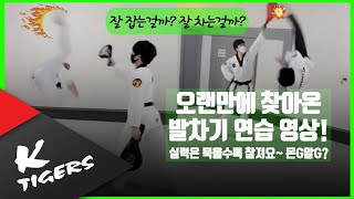[태권도] 오랜만의 K타이거즈멤버들의 평화로운 운동영상