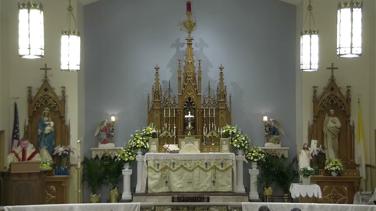 Fr. Aloysius - Sermon, 3rd Sunday after Easter, 2026