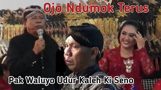 Download Lagu Tatin + Pak Waluyo + Dalang  Seno = Gayeng Tenan 🤣 hahaha MP3